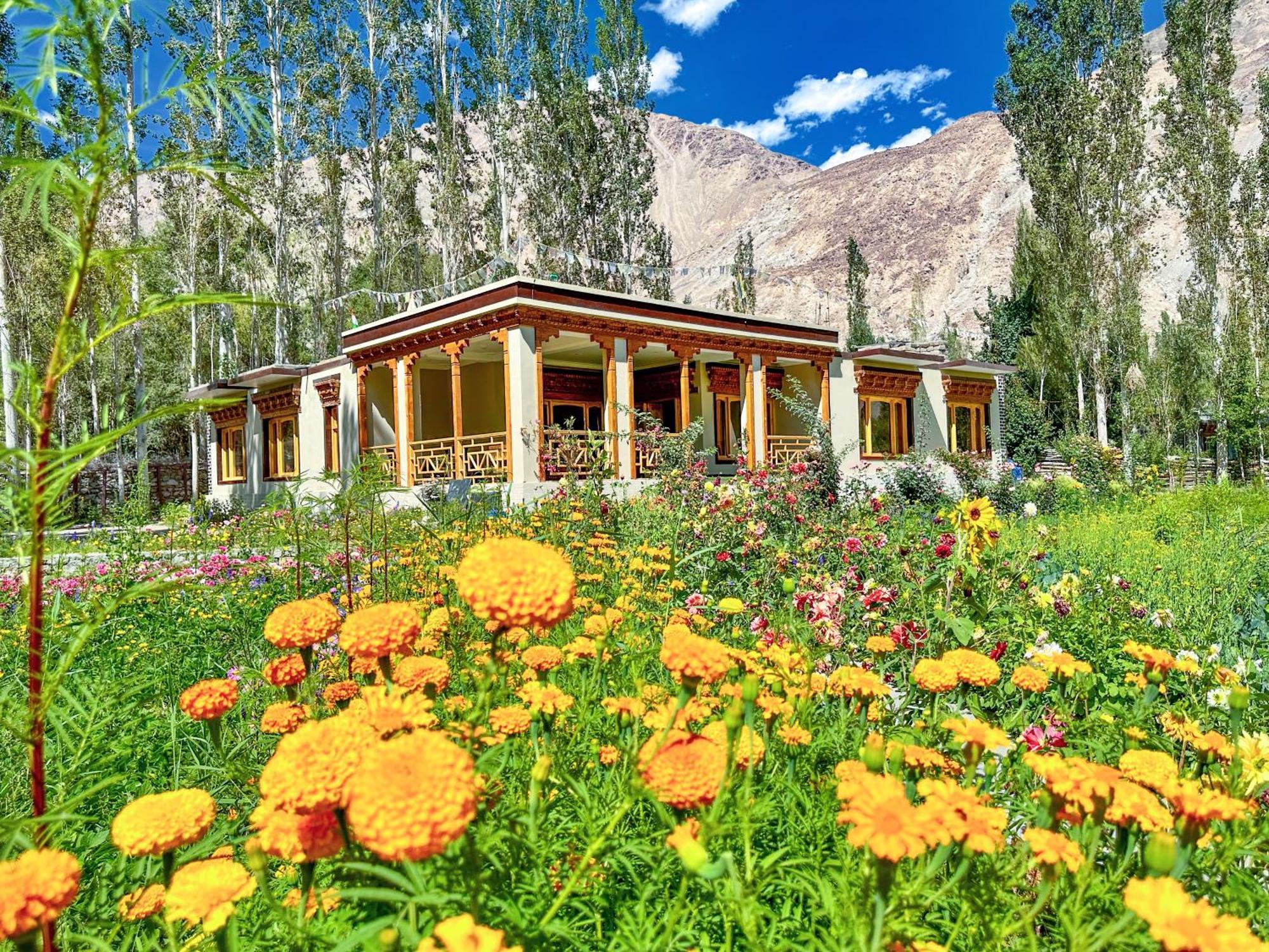 De Khama Hotel Nubra Bagian luar foto